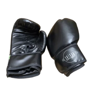 Guantes de boxeo 12 OZ Negros (Of. especial)